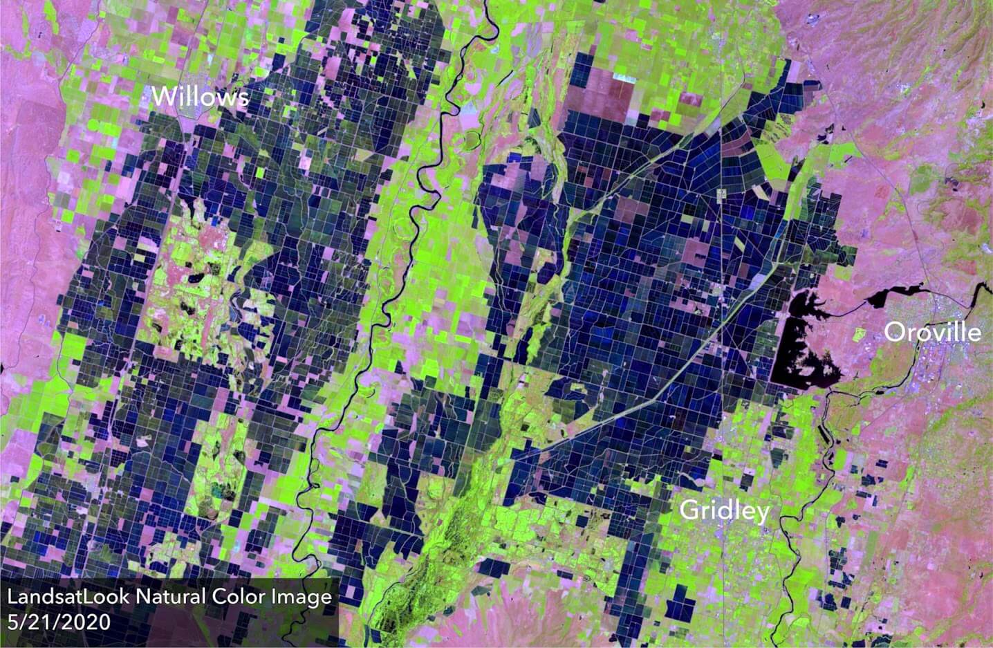 Landsat Look